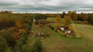 İnsansız hava aracı yeşil, sonbahar ağaçları, bir gölet, çimenli tarlalar, toprak bir patika ve Litvanya 'da bulutlu bir gökyüzünün altında orman ile çevrili ahşap bir ev yakalar..