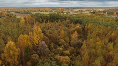 İnsansız hava aracı Litvanya 'da yeşil, sarı ve portakal ağaçları, açık alanlar, kırsal binalar ve bulutlu gökyüzü ile canlı bir sonbahar ormanı yakalıyor..