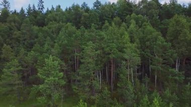 Litvanya 'daki Verkiai Bölgesel Parkı' ndaki verimli bir orman üzerinde yavaş bir insansız hava aracı uçuşu, parçalı bulutlu bir gökyüzü altında sonsuz yeşil ve yaprak döken ağaçların karışımına ev sahipliği yapıyor..