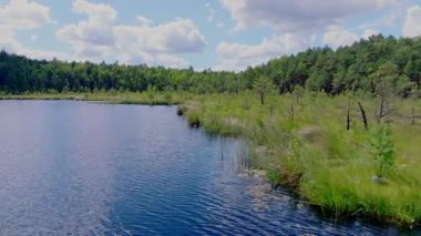 Litvanya 'da parçalı bulutlu bir gökyüzünün altında yemyeşil ormanlar ve kamışlarla çevrili sakin bir göl üzerinde yavaş bir dron uçuşu..