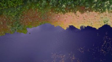 Litvanya doğasında dar bir patika ve orman sınırına sahip, yeşil ve kırmızımsı kahverengi bitki örtüsüyle çevrili derin mavi bir gölün havadan görünüşü.