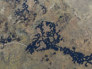 Beyaz Rusya 'daki Yelnya Doğa Koruma Alanı' nın hava görüntüleri, koyu mavi su kanallarını, küçük gölleri, yosunlu bezelyeleri ve dar beyaz patikaları gösteriyor..