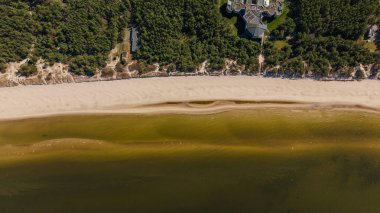 Litvanya 'nın Palanga kentindeki Baltık Denizi sahili, beyaz kum, yeşil turkuaz su, yoğun çam ormanı ve kıyıya yakın bir geometrik bina..