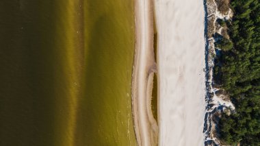 Palanga 'nın kıyı şeridini yeşilimsi su, dar kumlu bir sahil ve yoğun çam ormanlarıyla gösteren hava manzarası. Kıyı şeridi doğal bir şekilde kıvrılır..