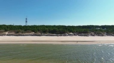 Litvanya 'da sakin bir sahil şeridi, kumlu bir sahil, sık bir orman, sakin bir deniz ve açık mavi gökyüzü. Kamera doğal manzarayı yansıtıyor..