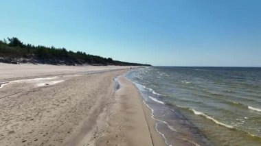 Litvanya, Palanga 'da kumlu bir sahil boyunca hafif dalgalar hareket eder. Ormandaki kum tepeciği ve uzaktaki deniz feneri görülebiliyor..