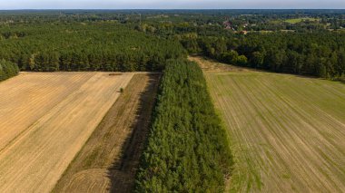 Ormanlarla çevrili yoğun ağaçlarla çevrili geniş alanlar. Düz arazide, temiz bir gökyüzünün altında küçük bir kırsal yerleşim alanı görülebilir..