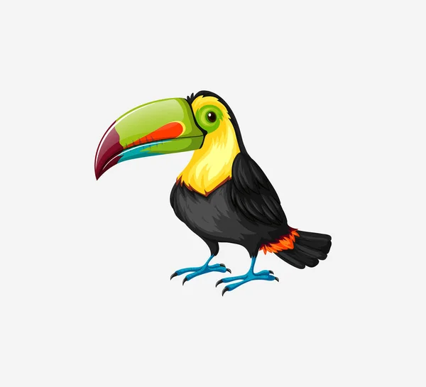 Illustration Der Tukan Zeichentrickfigur Exotische Vogel Vektor Illustration Isoliert Auf — Stockvektor