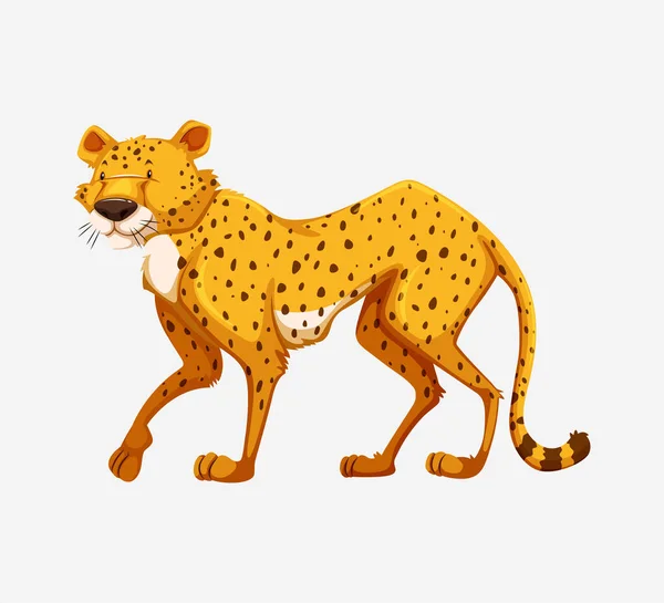 Leopard Tecknad Illustration Isolerad Vit Bakgrund Vektor Grafik — Stock vektor