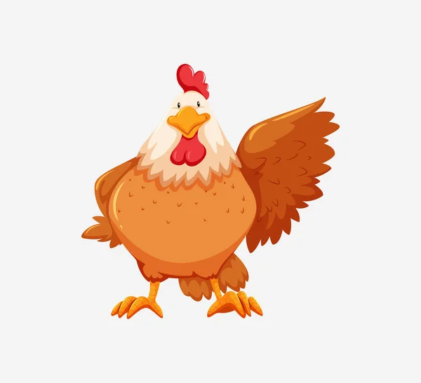 Cute Chicken Vector Illustration Isolated White Background — Stock Vector