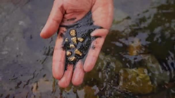 Altın Külçeleri Elde Altın Madenciliği Eski Okul Geleneksel Altın Madenciliği — Stok video
