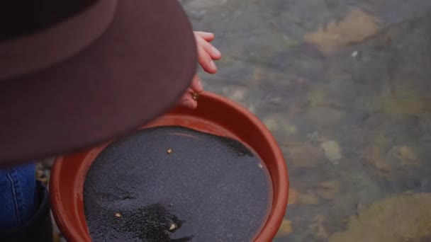 금렵구 덩이를 강에서 발견하는 — 비디오