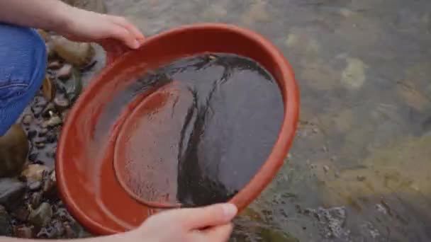 Gold Pans Washing Process Gold Rush Gold Mining Gold Digger — Wideo stockowe