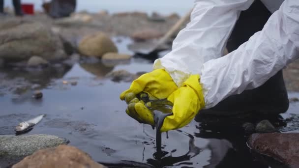 油轮坠毁对生态系统的破坏溢油问题和环境污染 生态灾难 — 图库视频影像