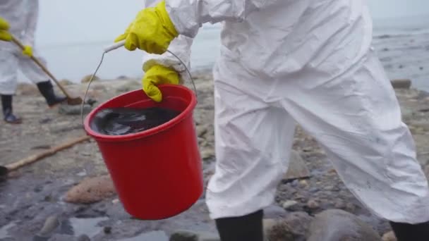 油轮坠毁对生态系统的破坏溢油问题和环境污染 生态灾难 — 图库视频影像
