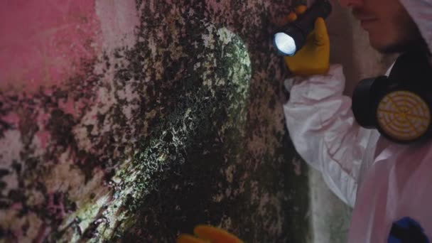 家の中のカビの感染症や湿度の高さの問題職場での害虫駆除サービス — ストック動画