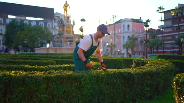 Jardineiro Paisagista Cidade Serviço Empregado Cuidado Jardim — Vídeo de Stock