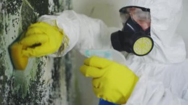 Küf enfeksiyonu sorunu ve evdeki nem oranı yüksek. İşteki haşere kontrol servisi.