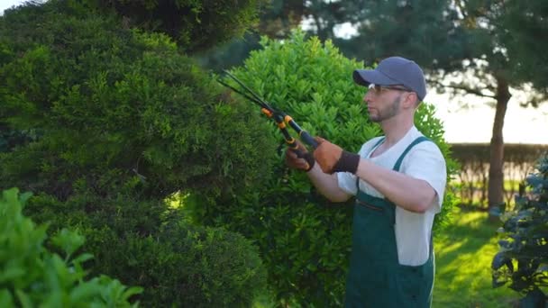 Retrato Jardinero Masculino Uniforme Con Tijeras Jardín Cortes Arbustos Topiarios — Vídeo de stock