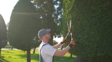 Erkek bir bahçıvan bahçe makası ile çalıları budama sürecinde.