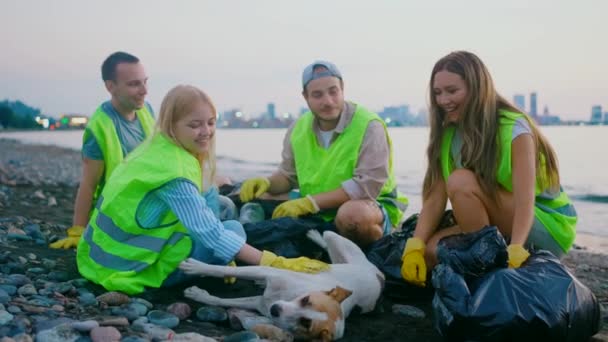 Группа Студентов Волонтеров Оказывает Помощь Бездомным Животным Ласкает Собаку — стоковое видео