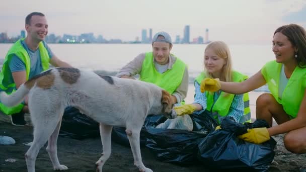 一群积极的志愿者救助一只狗 帮助流浪的动物 — 图库视频影像