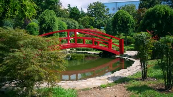 Estilo Jardim Japonês Elementos Decorativos Sem Corpo — Vídeo de Stock