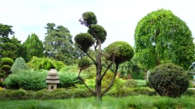 Japon bahçe stili, dekoratif elementler, vücut yok.