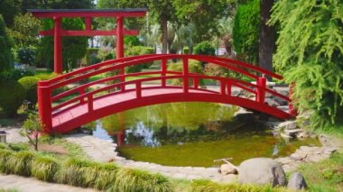 Yeşil bir bahçe parkında dekoratif Japon tarzı bir köprü.