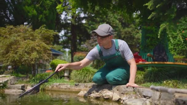 ガーデンクレンジングで庭師の肖像画サービスと庭の池の世話をする — ストック動画