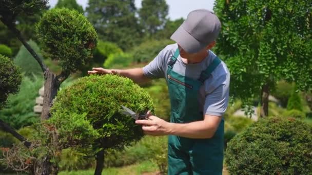 Japon Bonsai Tarzında Bir Ağacı Kesen Üniformalı Bir Erkek Bahçıvan — Stok video