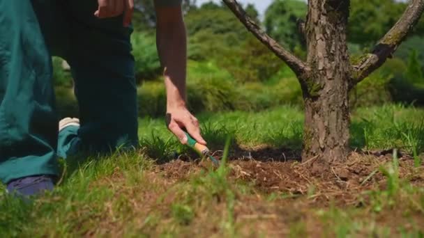 Jardinero Masculino Uniforme Cuida Árbol Parque Jardín Japonés — Vídeo de stock