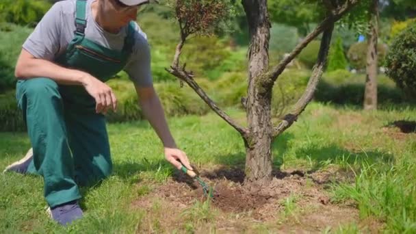 身穿制服的男园丁照看着日本园林中的一棵树 — 图库视频影像