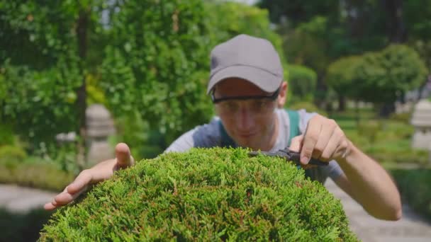 Jardineiro Cuida Bonsai Árvores Estilo Japonês Perto — Vídeo de Stock