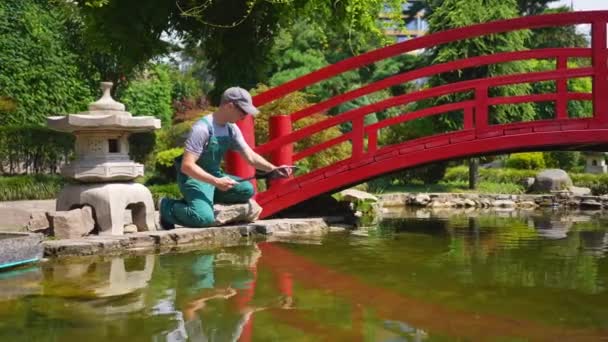 Een Dienst Tuinman Reinigt Tuin Vijver Japanse Stijl Breed Uitzicht — Stockvideo