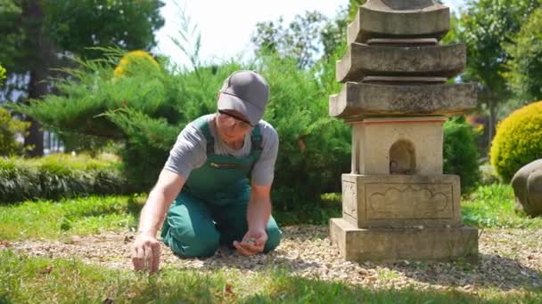 Üniformalı Bahçıvan Japon Bahçesinde Taş Bir Fenerin Yanında Çalışıyor — Stok video