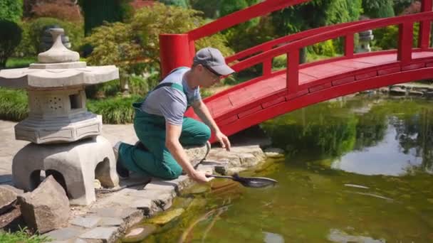Een Dienst Tuinman Reinigt Tuin Vijver Japanse Stijl — Stockvideo