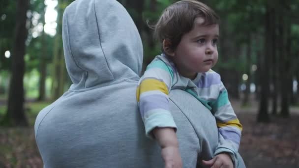 一个绑匪的犯罪画像 他抱着一个孩子 背对着森林里的摄像机走着 — 图库视频影像