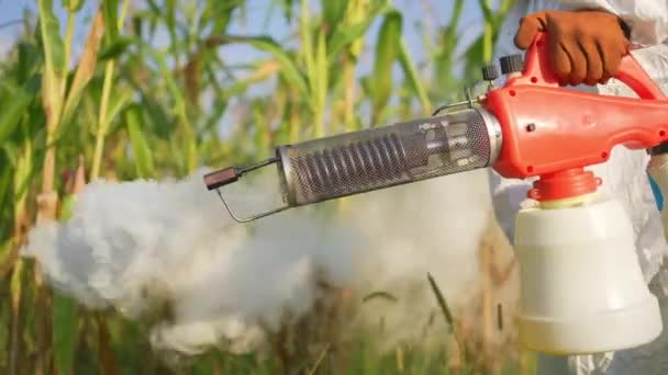 Uso Fumigador Plaguicidas Manos Agricultor — Vídeo de stock