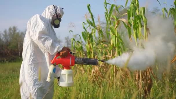 穿着防护服的工人对玉米进行熏蒸以消灭害虫和昆虫 动作缓慢 — 图库视频影像