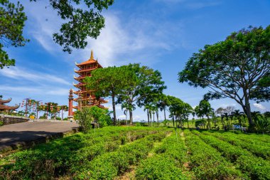 Bao Loc şehrindeki Bat Nha Pagoda 'nın güzel mimarisi, Lam Dong, Vietnam. Seyahat ve din kavramı.