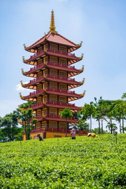 Bao Loc, Vietnam - 01 Mayıs 2023: Bao loc şehri, Lam Dong, Vietnam 'daki Bat Nha Pagoda' nın güzel manzarası. Çay tarlasında çay yaprağı toplayan bir işçi.
