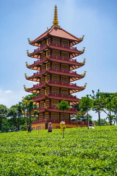 stock image Bao Loc, Vietnam - 01 May 2023: Beautiful view of Bat Nha Pagoda in Bao loc city, Lam Dong province, Vietnam. Worker picking tea leaves in tea plantation