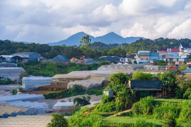 Vietnam 'daki Da Lat şehrinin Dağ Köyü' ne Yeşil Evler Yayıldı