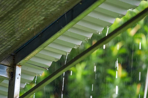 stock image Raindrops on a metal roof gutter closeup against a blurred background of green trees