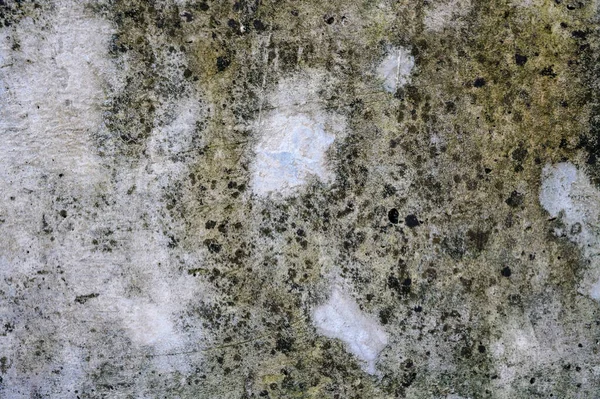 Eski Kirli Yosun Dokulu Duvarı Kapat — Stok fotoğraf