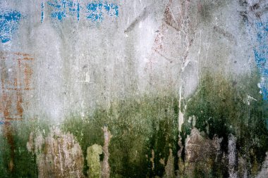 Yosunlu beton duvar.