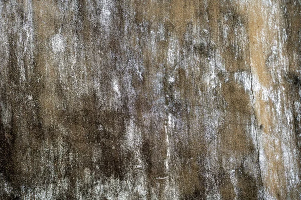 Muro Cemento Con Muschio — Foto Stock