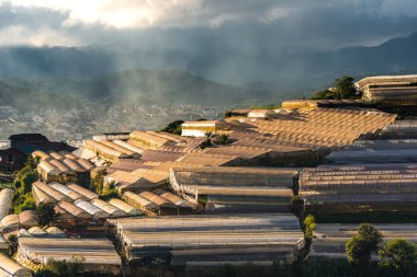 Sebze tarlası ve Housein Platosu, Da Lat, Vietnam. Da Lat Vietnam 'ın en iyi turistik şehirlerinden biridir. Dalat şehri Vietnam 'ın en büyük sebze ve çiçek yetiştirme alanıdır..