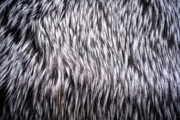 Fuzzy Grey Carpet Background Texture Background — Stock Photo, Image